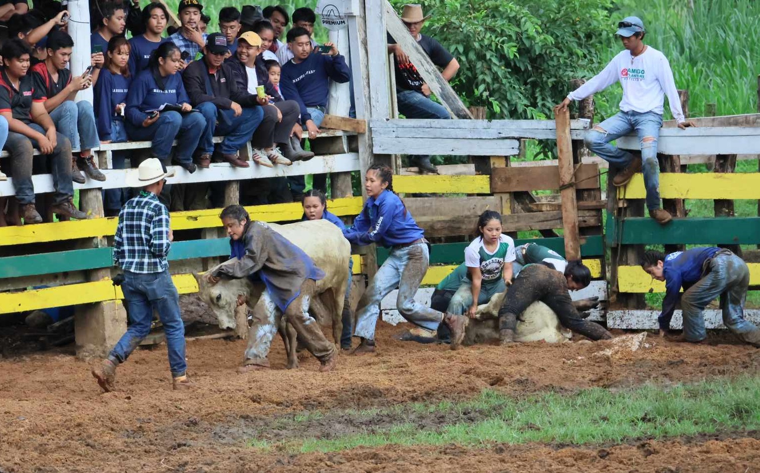 Rodeo action in CMU