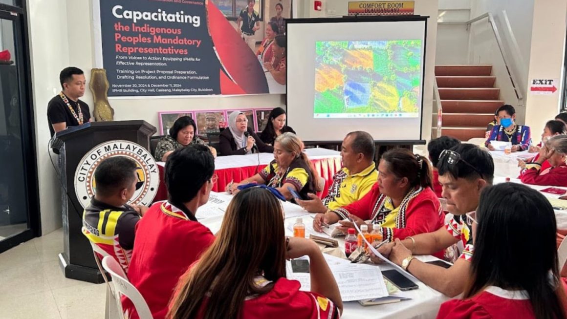 Barangay IP reps boost legislative skills