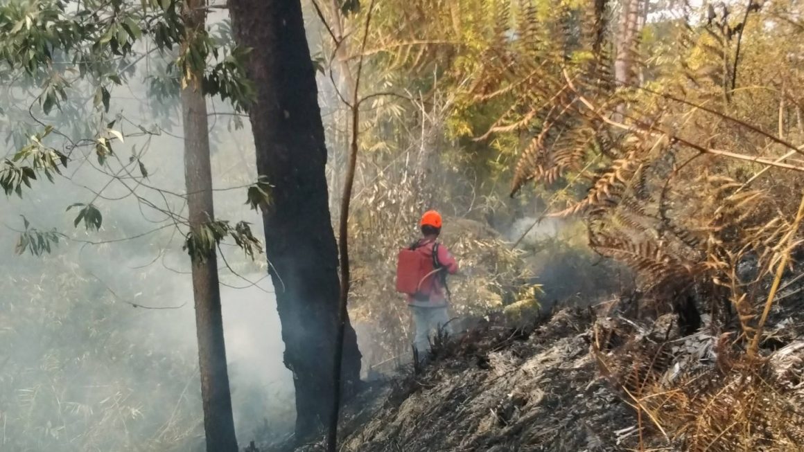 Malaybalay City records 33 forest fires in 3 months